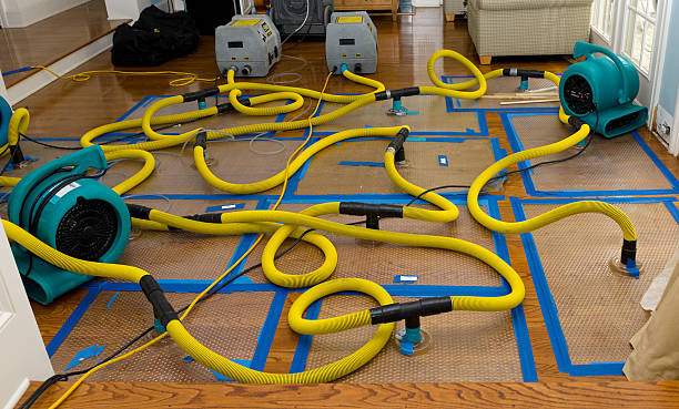 Professional Water Extraction technician working in Terrace Park, OH